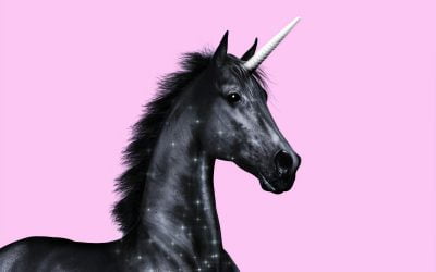 Allt du behöver veta om enhörningar