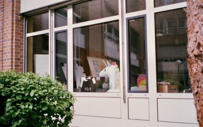 Vad är enhörningar på börsen och finns de i norden?